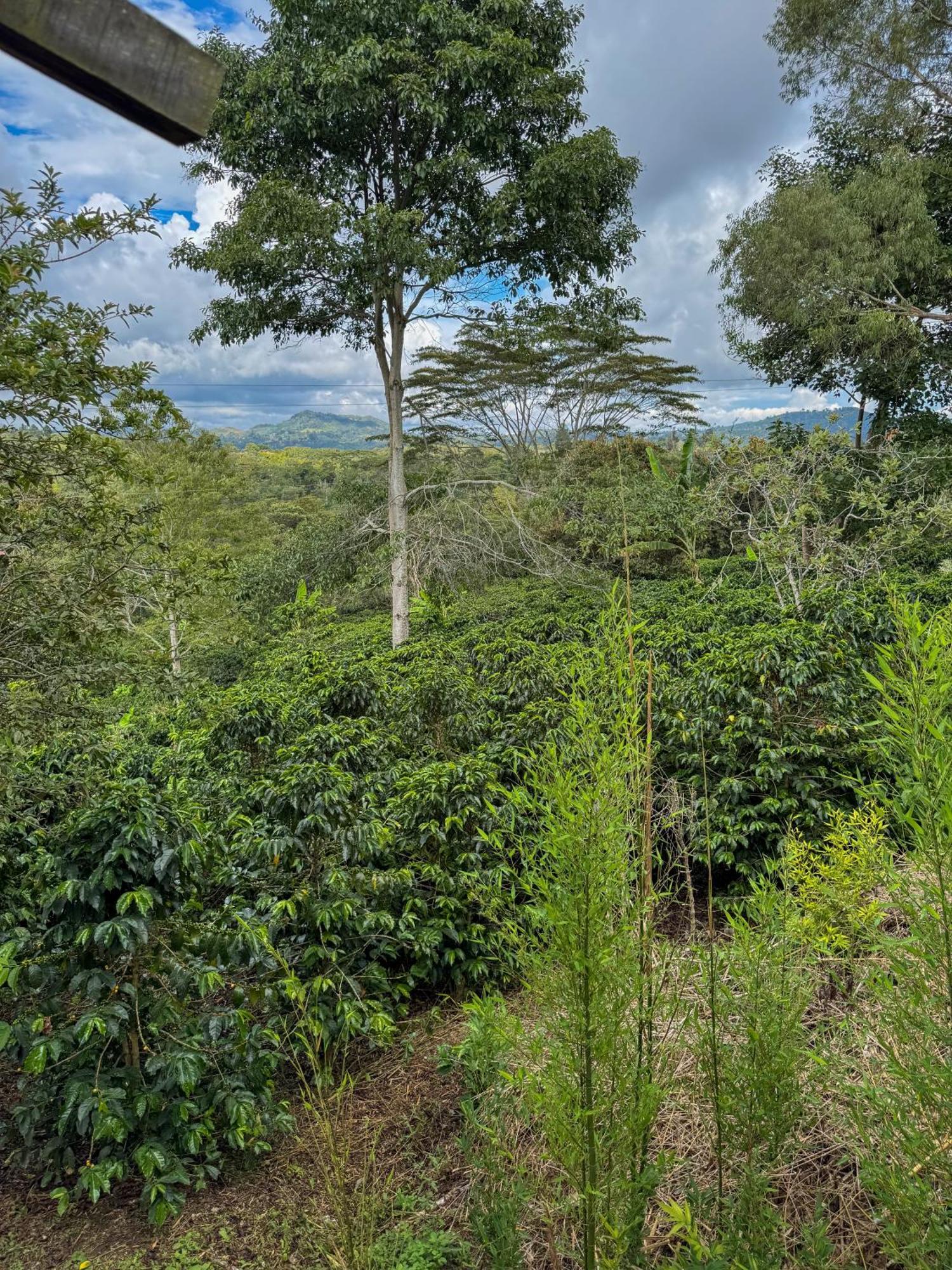 Hostal Pachamama San Agustin  Luaran gambar