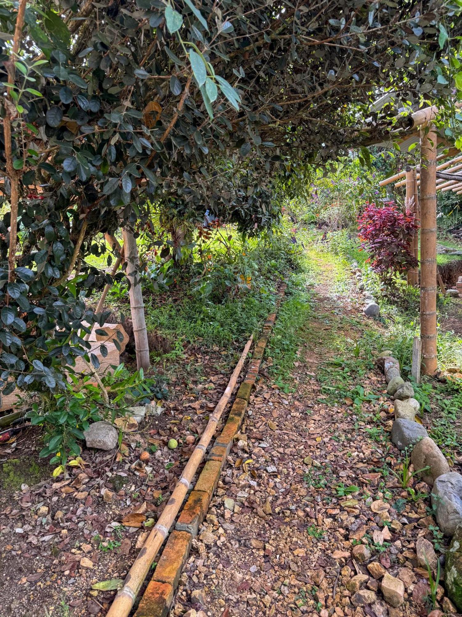 Hostal Pachamama San Agustin  Luaran gambar