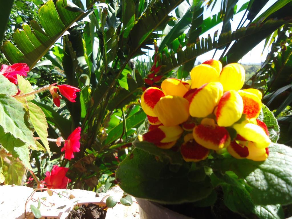 Hostal Pachamama San Agustin  Luaran gambar