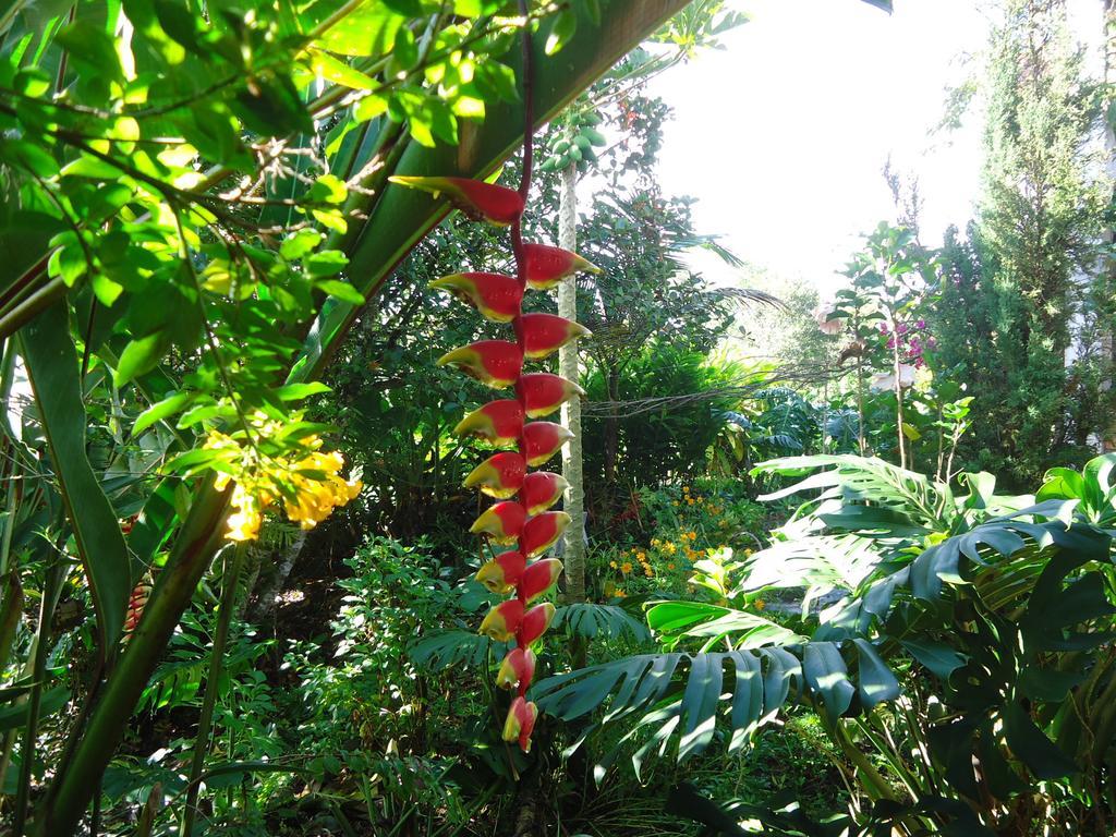 Hostal Pachamama San Agustin  Luaran gambar