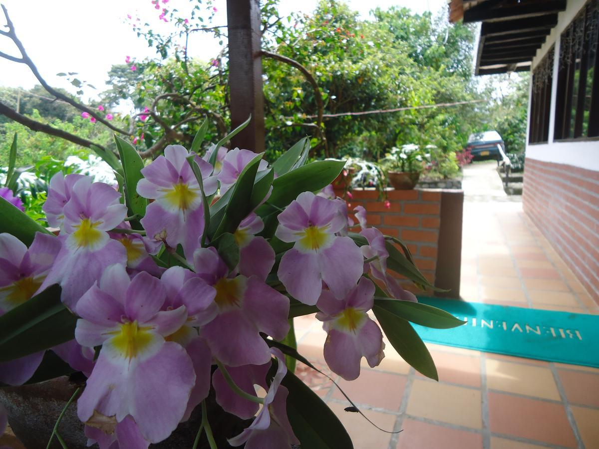 Hostal Pachamama San Agustin  Luaran gambar